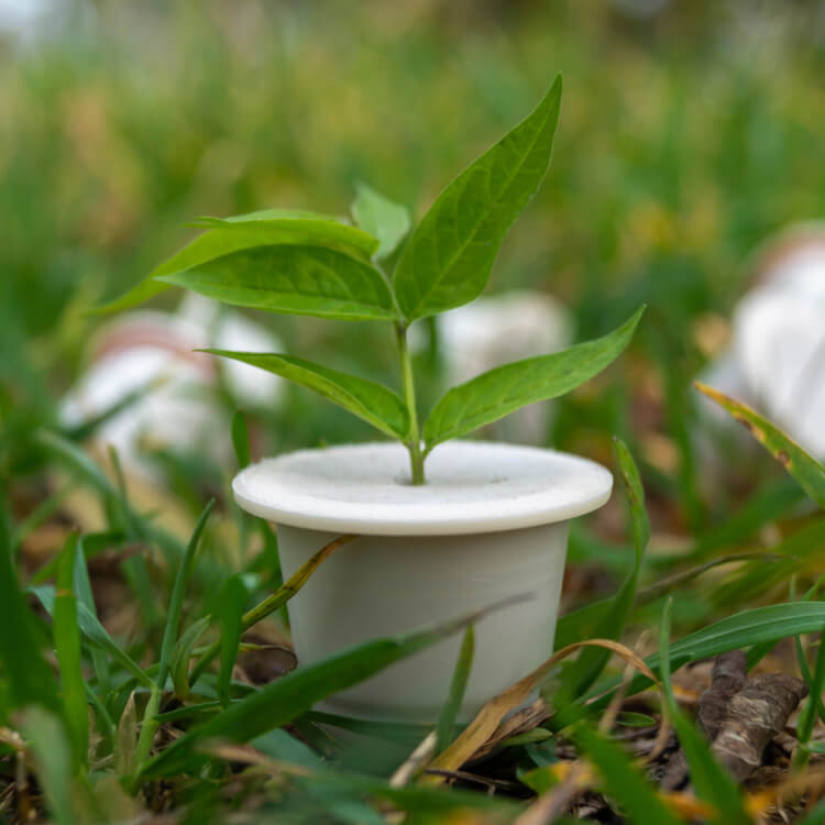 Environmental Advantages of Compostable Coffee Pods BOSECO™