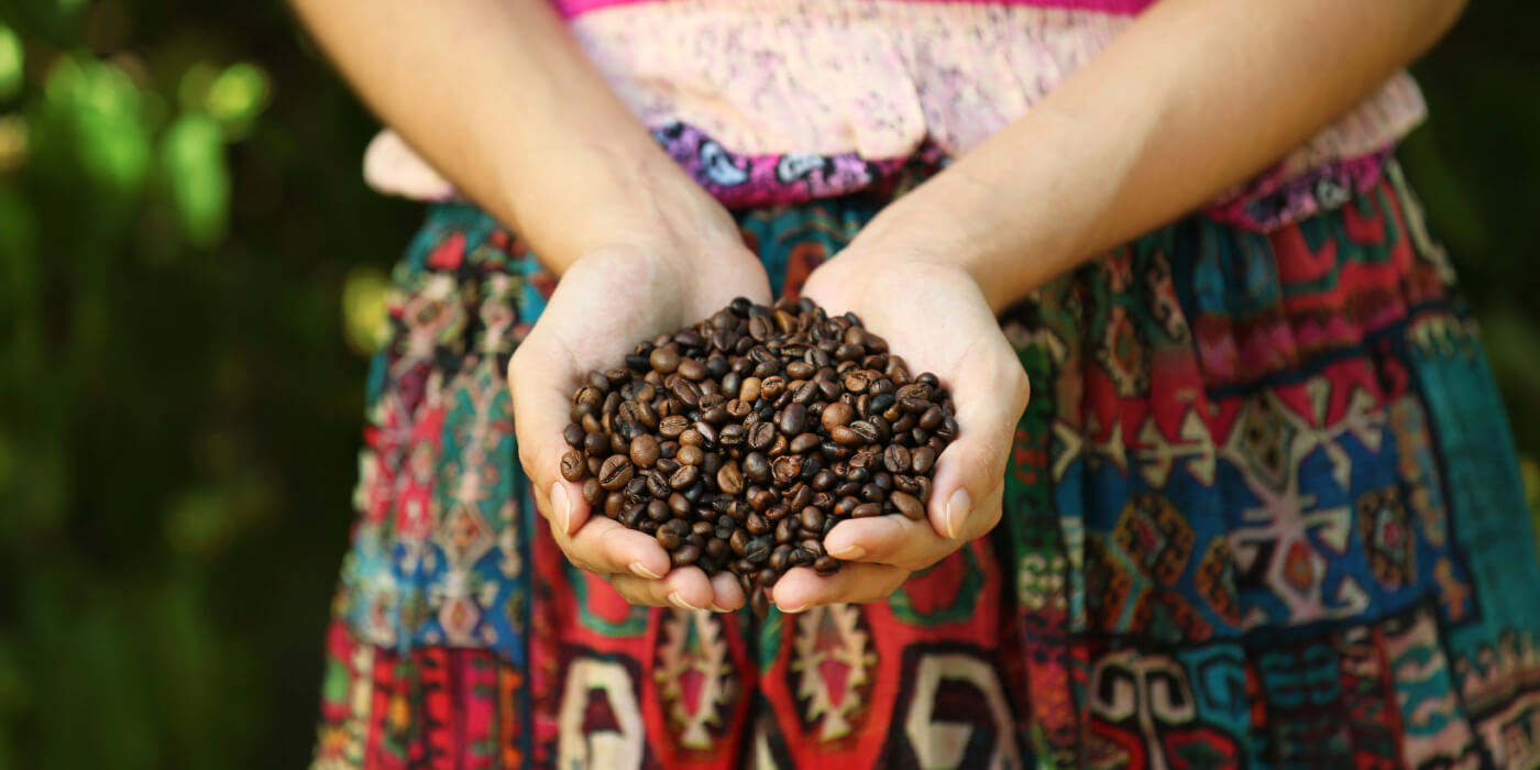Indian coffee beans for BOSECO